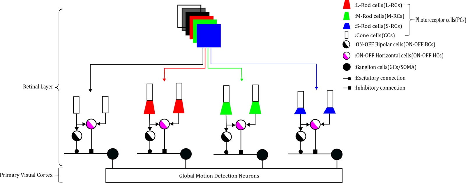 Figure 1 from the paper: bio-inspired direction and speed detection architecture